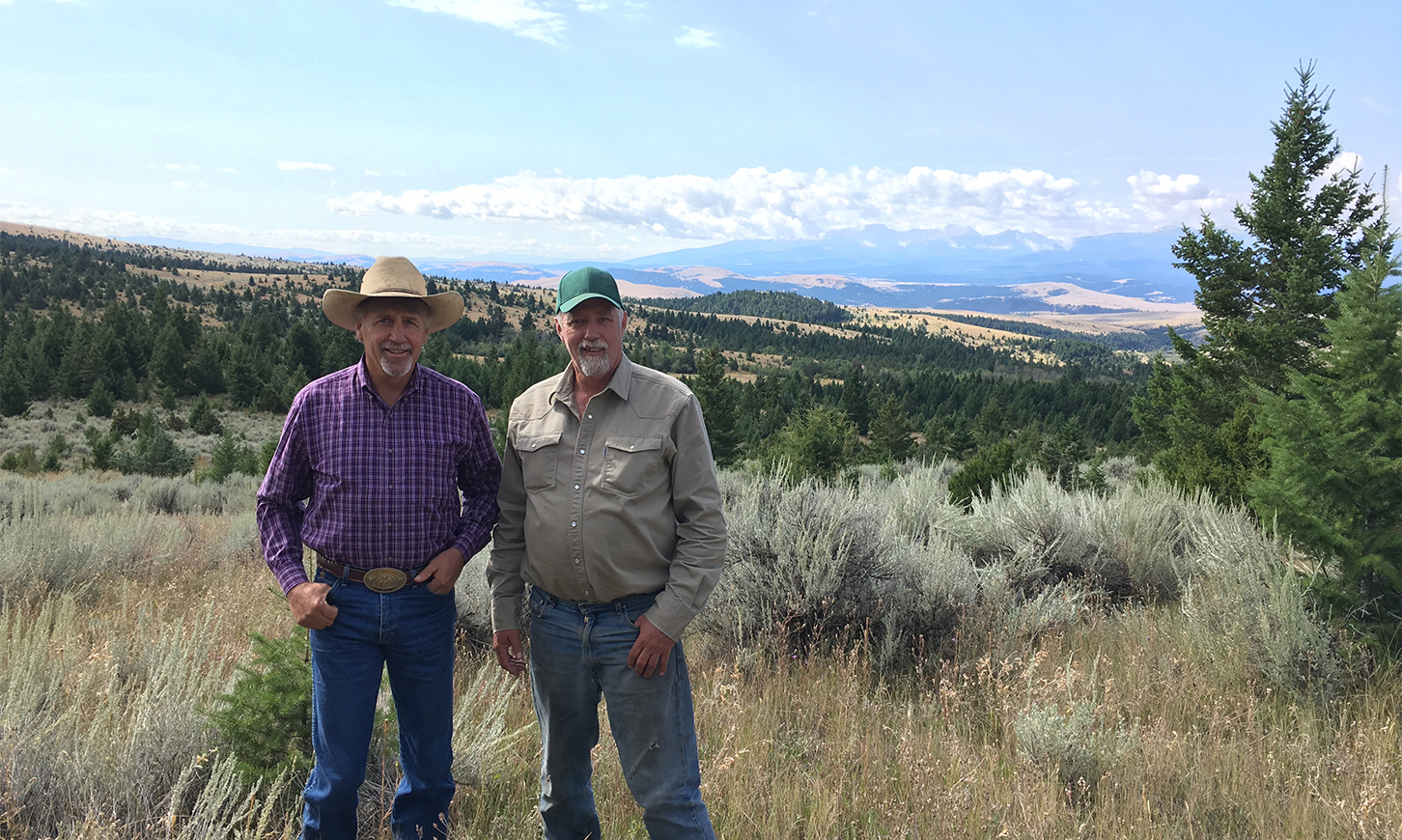 The Graveley Ranch Project